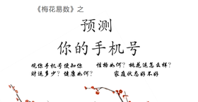 手机号