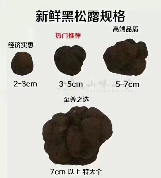 【高黎贡山黑松露•新鲜】#顺丰冷链  云南特产  新鲜黑松露菌 商品图4