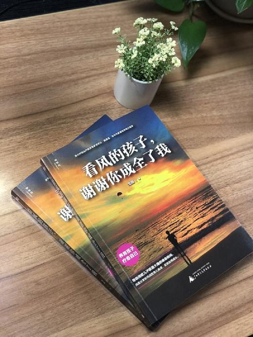 (仓发) 看风的孩子，谢谢你成全了我（神秘岛）/广西师范大学出版社/戈娅/9787559811110 商品图6