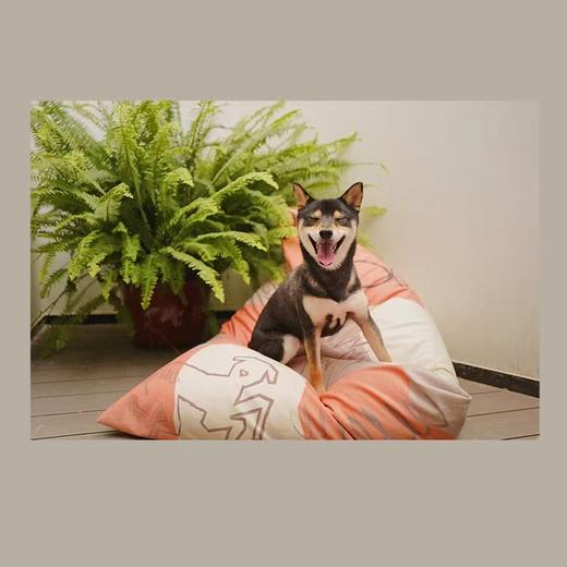 懒人沙发粽子款-十点睡觉《艺术家的狗》 商品图2