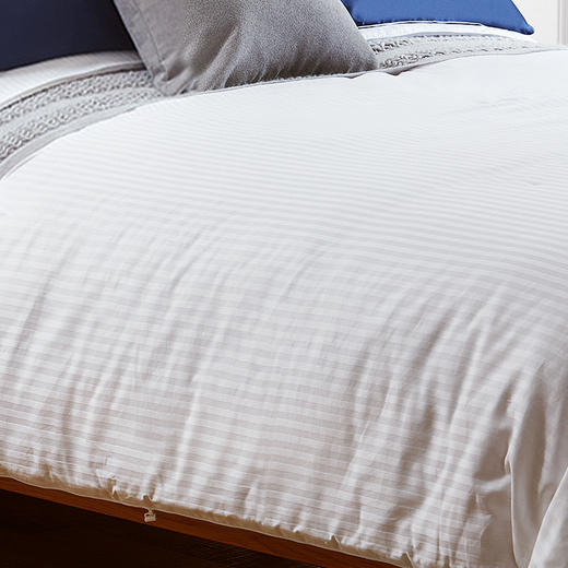 【桑蚕丝被3-5】金三塔100%桑蚕丝蚕丝被 全棉胎布套  CSBC540/CSBC550 商品图4