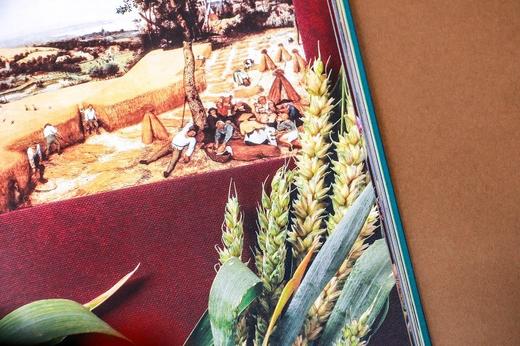 当自然赋予艺术灵感   [法]艾莱娜·穆尼埃 著 [法]亚尼克·弗里埃 摄影  商务印书馆 商品图7