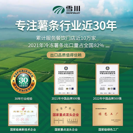 雪川薯味 3/8冷冻粗薯条 500g 1袋 原味 国产薯条半成品 方便速食菜（早餐 午餐 晚餐 夜宵）炸鸡西餐小食 商品图4