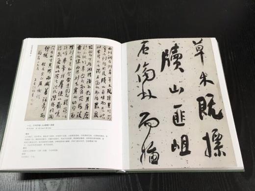 何绍基书法精品集/杨亚东/浙江大学出版社 商品图4