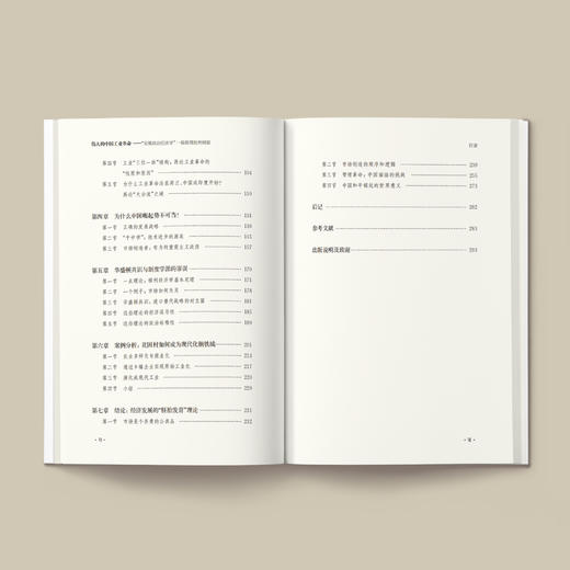 《伟大的中国工业革命：“发展政治经济学”一般原理批判纲要》 商品图2