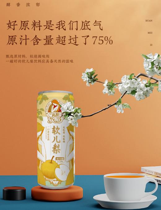软媚子软儿梨饮料 青海民和特色果汁饮品 300ML*12瓶 易拉罐更能保持果汁原味 商品图3