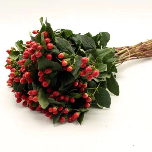 【周四秒杀】10枝相思红豆39.8元 商品图1