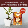 爱的教育 埃迪蒙托·德·亚米契斯 著 文学 商品缩略图2