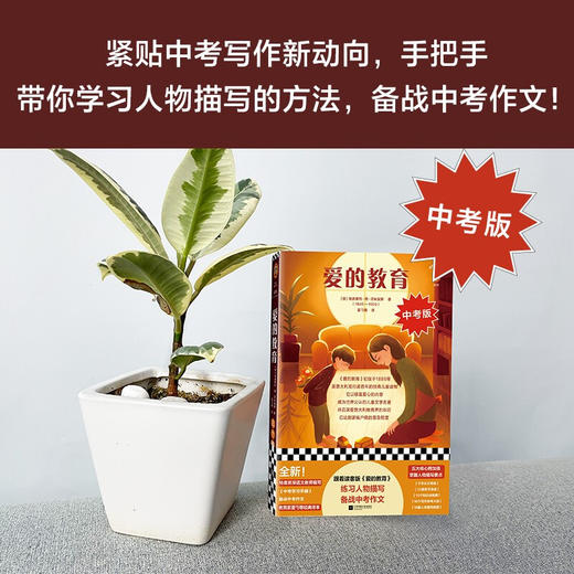 爱的教育 埃迪蒙托·德·亚米契斯 著 文学 商品图2