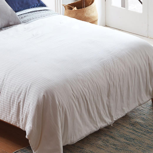 【桑蚕丝被3-5】金三塔100%桑蚕丝蚕丝被 全棉胎布套  CSBC540/CSBC550 商品图1