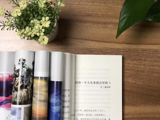 (仓发) 看风的孩子，谢谢你成全了我（神秘岛）/广西师范大学出版社/戈娅/9787559811110 商品图5