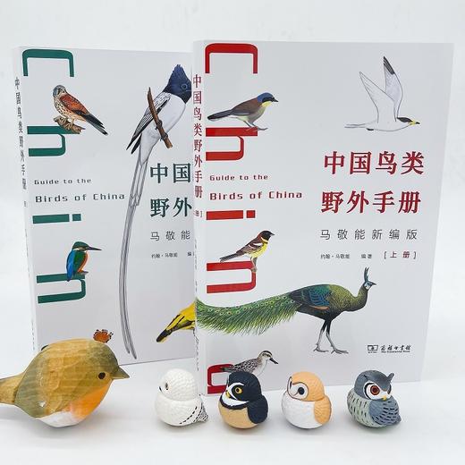 中国鸟类野外手册(马敬能新编版)(上下册) 商品图3