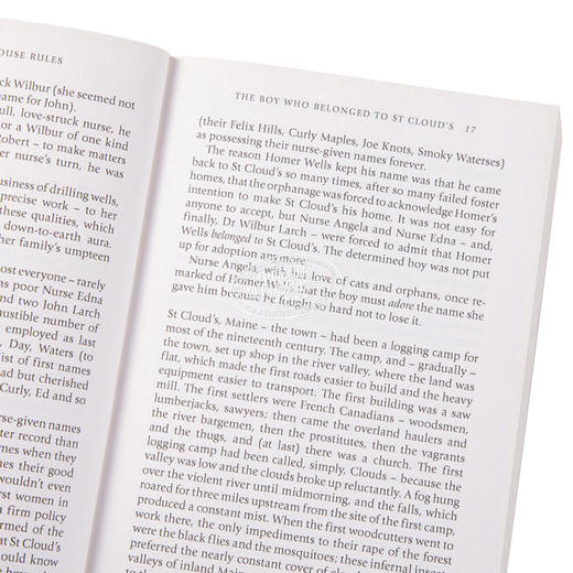 【中商原版】苹果酒屋的规则 豆瓣高分 英文原版 The Cider House Rules John Irving 商品图3