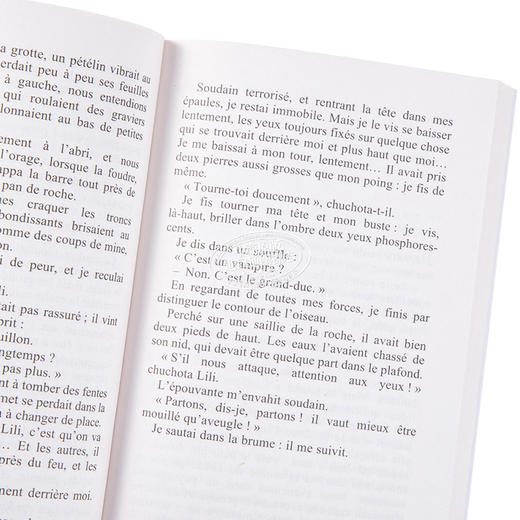 【中商原版】法国中学生必读 母亲的城堡 法文原版 Souvenirs d enfance Vol 2 Le chateau de ma mere Marcel Pagnol 商品图3