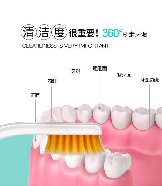 【中欧班列精选4支】韩国儿童牙刷 原装进口ozone欧志姆2-9岁儿童防蛀牙刷 商品图5