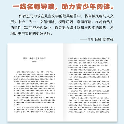 巫师的沉船     六年级正版现货速发|名师推荐|小学生课外阅读小学生课外读物 商品图2