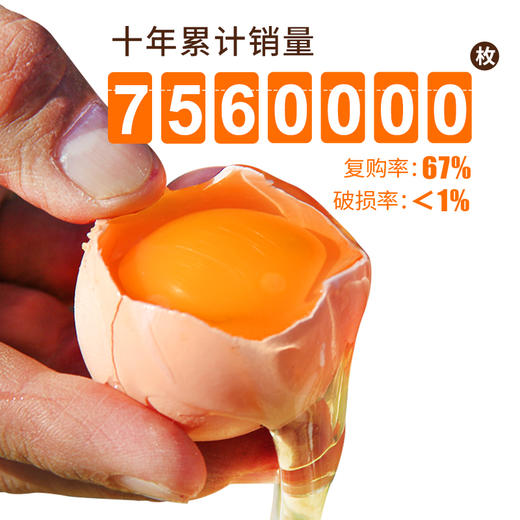 【密农特色 必买榜单】农家安鲜柴鸡蛋 土鸡蛋  纯粮喂养0激素 30枚/60枚 包邮装 商品图5