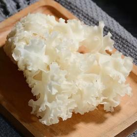 绣球菌（朵）