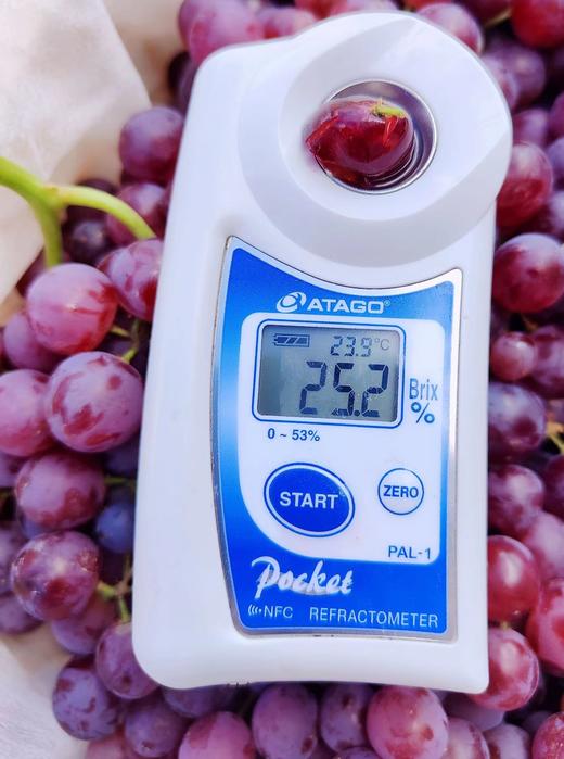 🍇【吃葡萄不吐葡萄皮】
玻璃翠葡萄以无核、皮薄、甜美著称
不吐葡萄皮，除了因为皮薄外
我们的葡萄基地施农家肥，擦擦灰就可以连皮放心吃呢[呲牙]，3.5斤/箱 商品图1