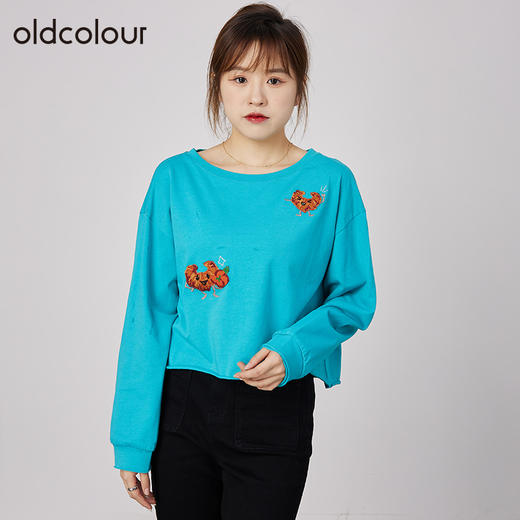 oldcolour春秋季商场同款刺绣上衣宽松长袖休闲T恤女N31023137 商品图2