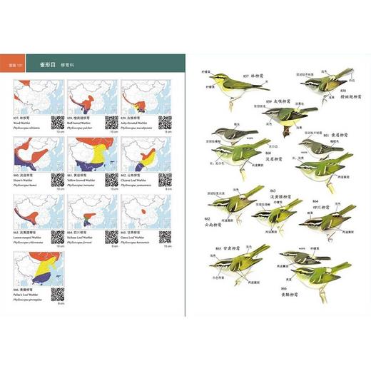 中国鸟类野外手册(马敬能新编版)(上下册) 商品图8