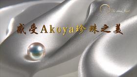 第4集 | Akoya珍珠何以风靡全球？
