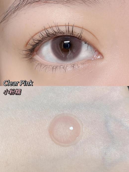 （日抛）Kira Fairy 小粉糯/小蓝糯 14.2mm 着色13.0mm 商品图2