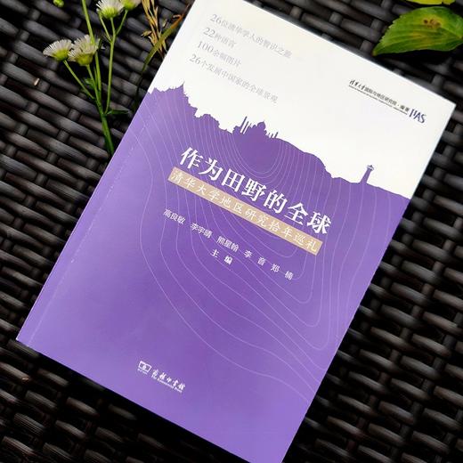 作为田野的全球——清华大学地区研究拾年巡礼 商品图2
