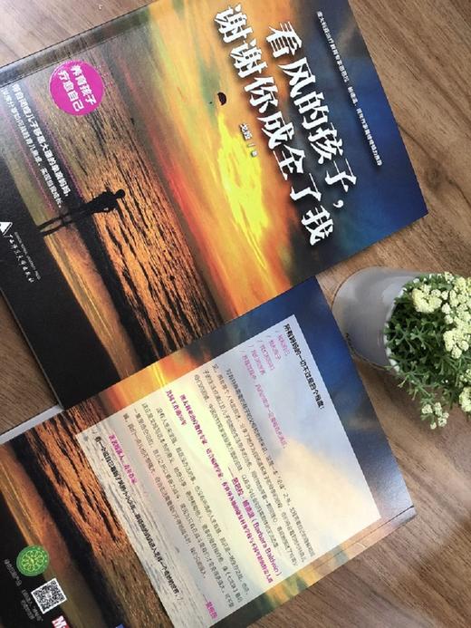 (仓发) 看风的孩子，谢谢你成全了我（神秘岛）/广西师范大学出版社/戈娅/9787559811110 商品图3