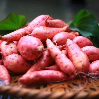 碧夏山庄蜜薯（4.5-5斤） 商品图6