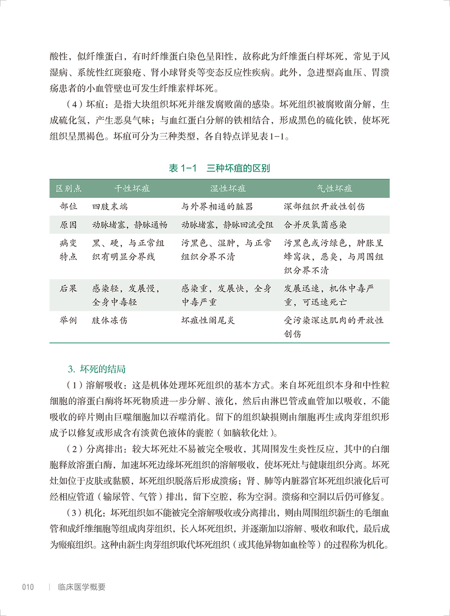 33178(yz) (10).jpg