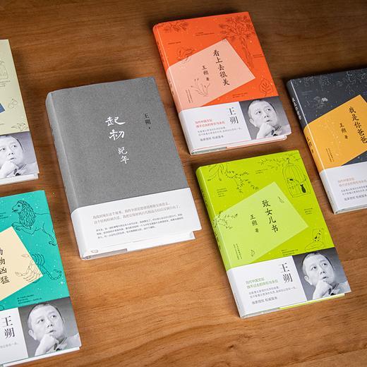 王朔归来《起初·纪年》，重磅新书，一上线就爆卖20万册！【新书&精装现货发，盒装预售30天发】 商品图8