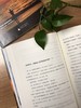 (仓发) 看风的孩子，谢谢你成全了我（神秘岛）/广西师范大学出版社/戈娅/9787559811110 商品缩略图7
