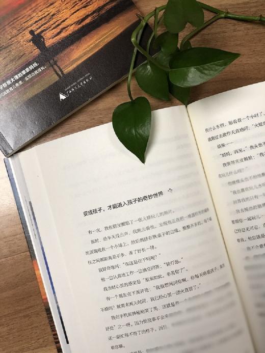 (仓发) 看风的孩子，谢谢你成全了我（神秘岛）/广西师范大学出版社/戈娅/9787559811110 商品图7