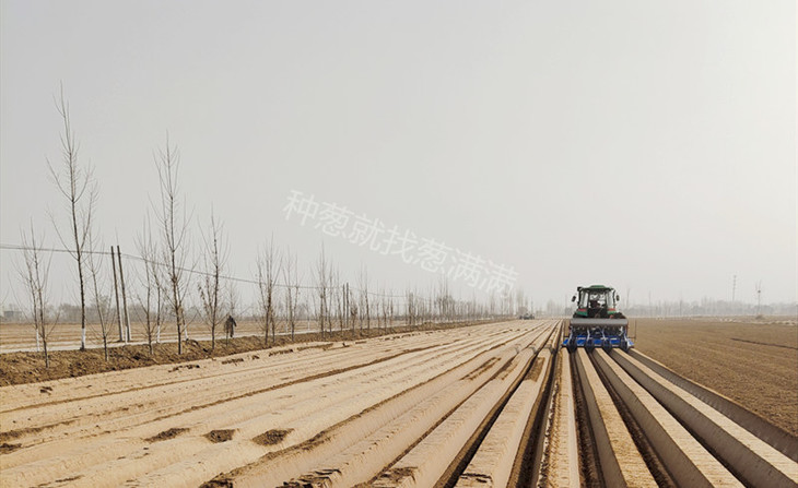 大葱种植机械开沟
