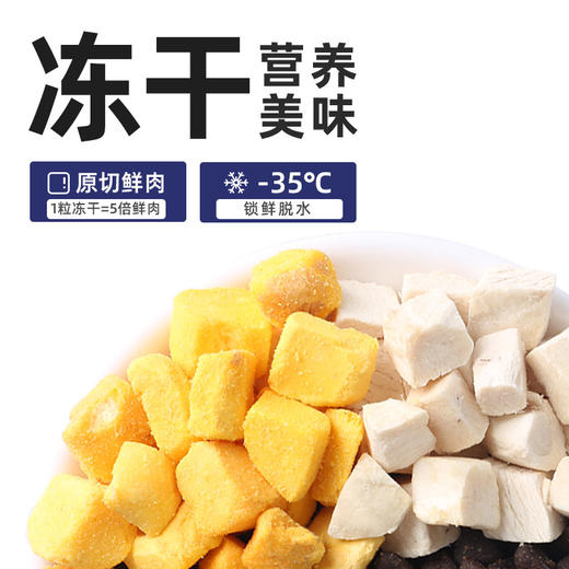 【宠物用品】狗粮5斤装鲜肉三拼冻干狗粮成幼犬通用泰迪金毛犬粮 商品图1