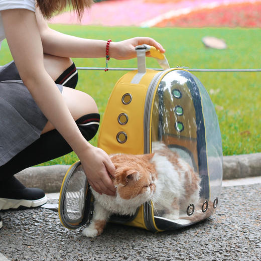 【宠物用品】猫包外出便携包太空舱透气双肩背包猫书包大容量猫咪外带宠物用品 商品图1