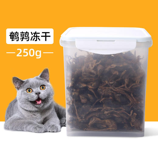 【宠物用品】冻干猫零食冻干鸡肉粒蛋黄粒鹌鹑营养发腮100g装 商品图3
