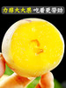 【好吃的人参果 】网红熟人叁果  新鲜水果 应当季人生果黄肉大圆果  xsg16 商品缩略图2