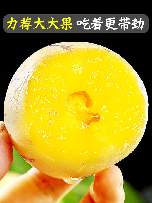 【好吃的人参果 】网红熟人叁果  新鲜水果 应当季人生果黄肉大圆果  xsg16 商品图2