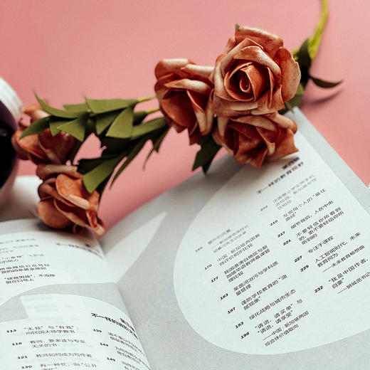 教育可以不同 让教育多一种可能 大夏书系 教育新思考 特级教师张祖庆 教师专业发展 商品图8