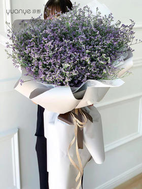 情人草韩式花束（花语：完美的爱情，感情永远不疏远，能够有始终如一的感情）