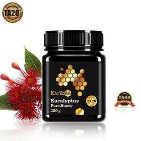 Karibee可瑞比 桉树蜂蜜20+