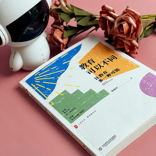 教育可以不同 让教育多一种可能 大夏书系 教育新思考 特级教师张祖庆 教师专业发展 商品图3