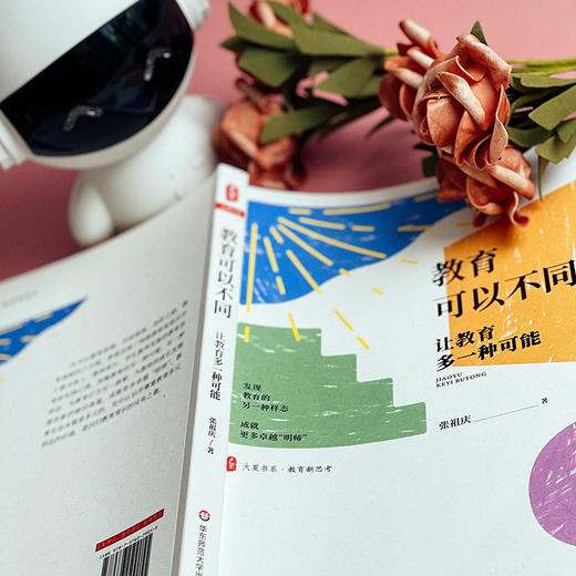 教育可以不同 让教育多一种可能 大夏书系 教育新思考 特级教师张祖庆 教师专业发展 商品图5