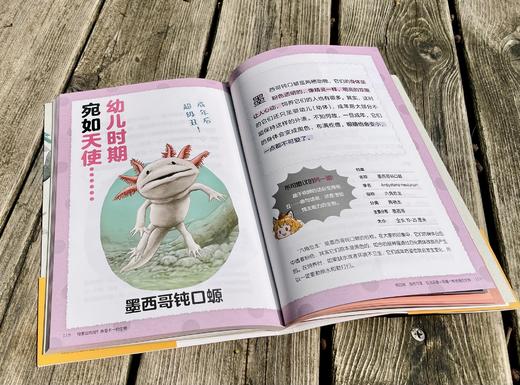 可爱却危险？表里不一的生物 揭秘65种生物的真面目+邢立达翻译审校+小学生课外读物+动物百科 7-10岁 小天角轻科普系列 商品图5