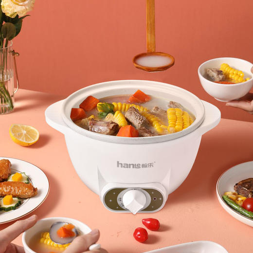 翰乐多功能迷你电煮锅HL-YXSG70（双耳带格） 商品图4
