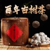 茶皇小沱茶 | 金毫密布古树纯料熟普500g/1000g 商品缩略图1