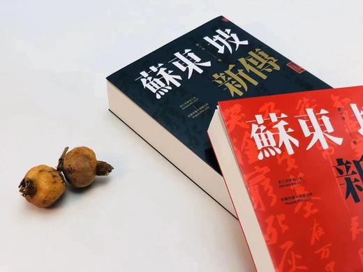 《苏东坡新传》，李一冰著，25开平装，上下册，1080页，联经出版公司1983年初版，2019年12月四版一印，目前印次不详。售价248元。 商品图1