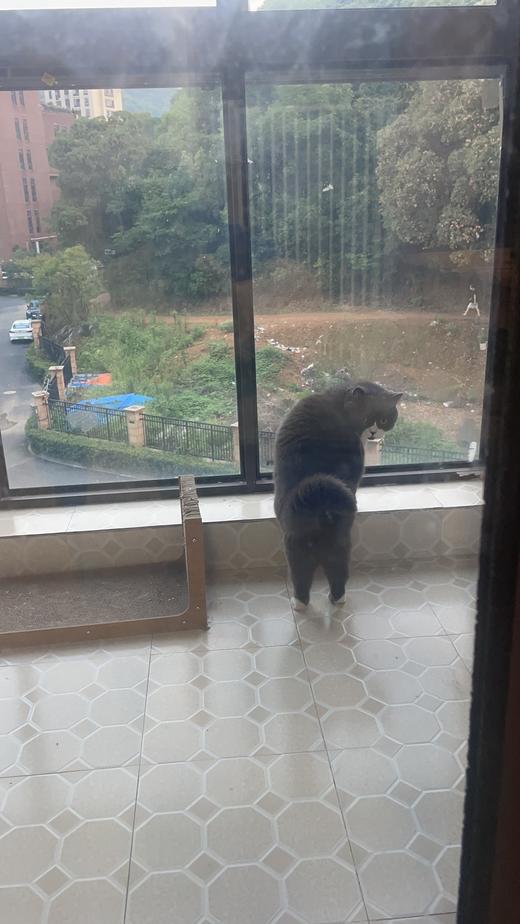 林修测试 商品图0